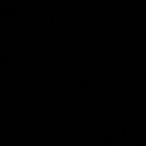 Meet your Posher, Hunter